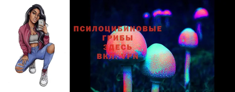 kraken зеркало  Уфа  Псилоцибиновые грибы MAGIC MUSHROOMS 